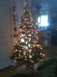 Chrismas tree 2012