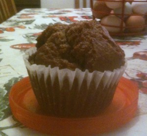 Bran muffin from Hannaford