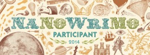 Participant-2014-Web-Banner-300x111